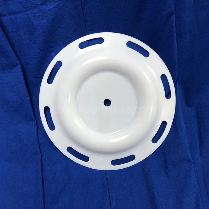 PTFE Membrane Pneumatic Diaphragm Pump Diaphragm